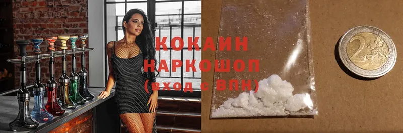 где продают   Жуковка  Cocaine Эквадор 